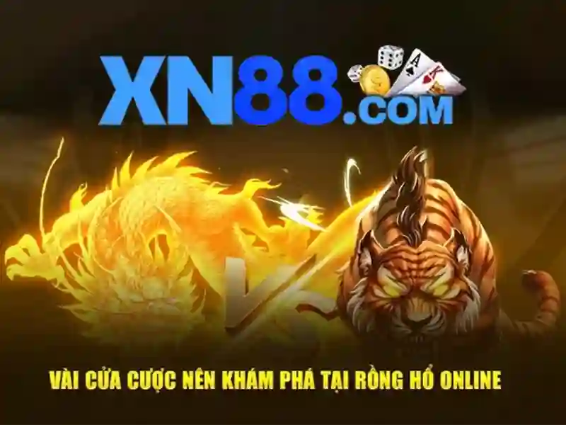 XN88: Nền tảng giải trí và cá cược trực tuyến đáng tin cậy