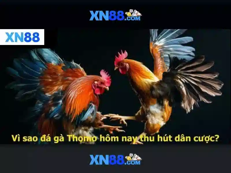 xn88 android xn88: hành trình trải nghiệm và chính thức