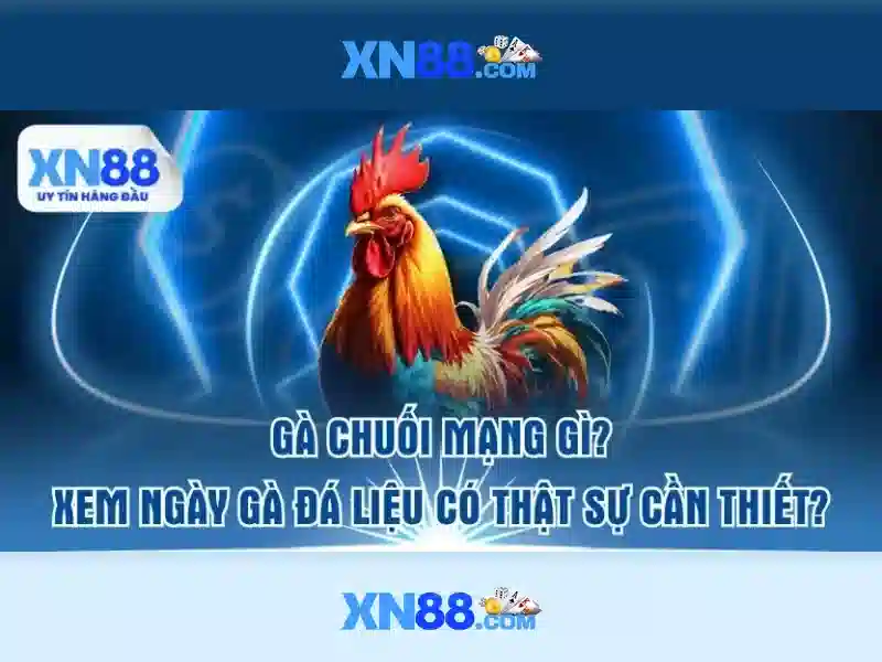 XN88: Nền tảng cá cược trực tuyến nổi bật