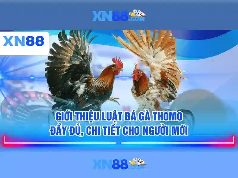 Đánh giá tổng quan về xn88\n<h>Chức năng và trải nghiệm người dùng</h>\n<p><span style=