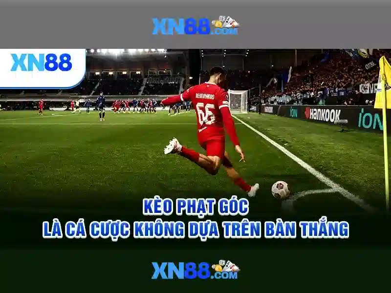 XN88: Khai phá nền tảng giải trí và giao dịch trực tuyến