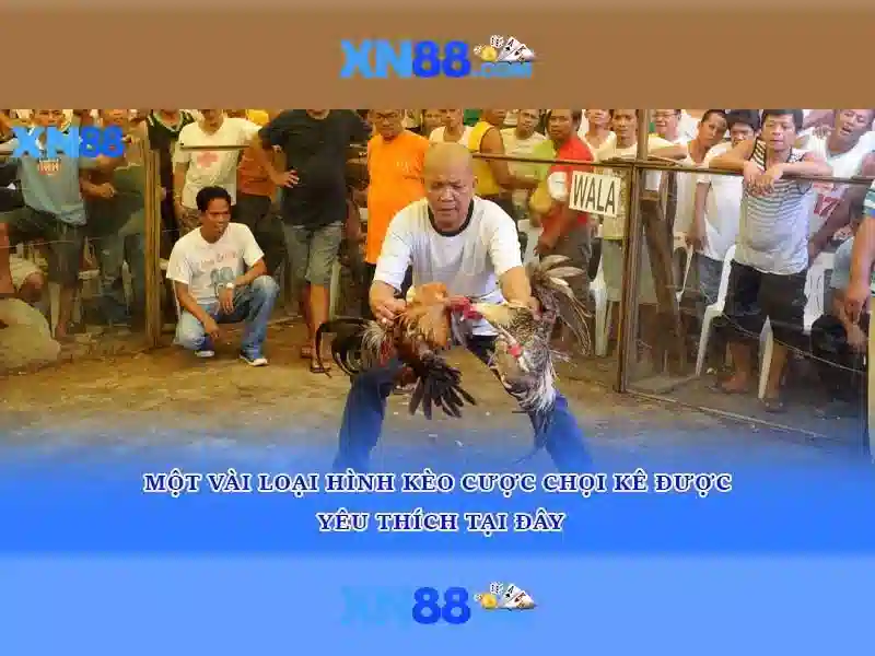 Công nghệ và an toàn