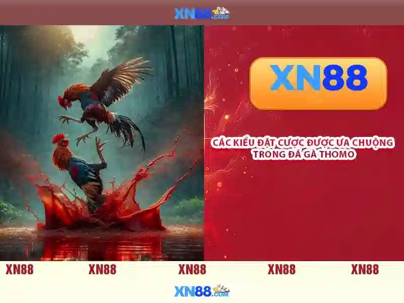 Xn88: Tổng quan về nền tảng cá cược trực tuyến