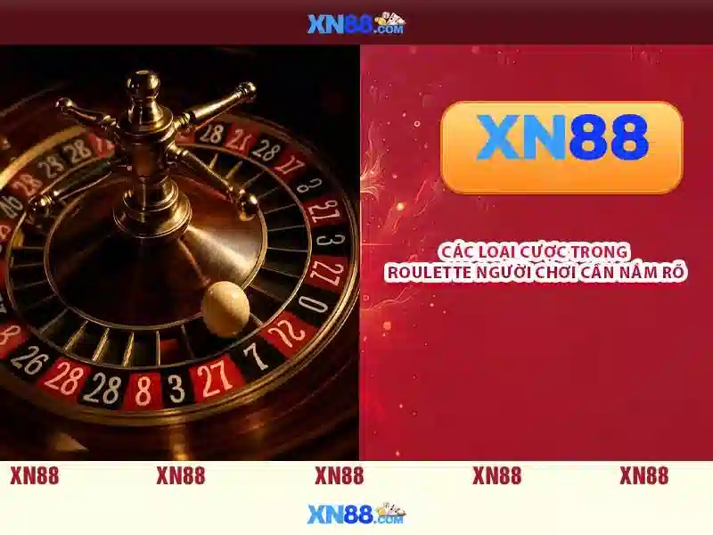 Hỗ trợ người dùng và cộng đồng