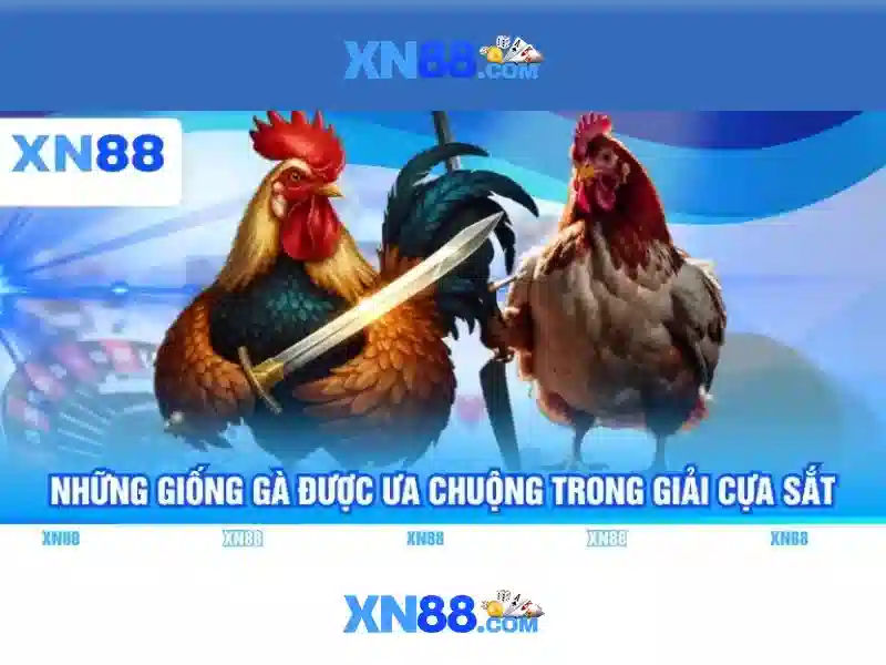 xn88: khám phá nền tảng cược trực tuyến uy tín