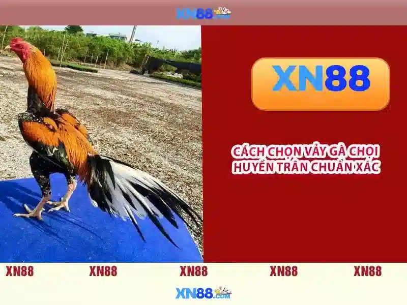 xn88: Nền tảng giải trí trực tuyến tại Việt Nam