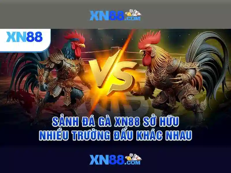 Cách tham gia và lưu ý an toàn\n<h3>Tính năng nổi bật</h3>\n<p><span style=