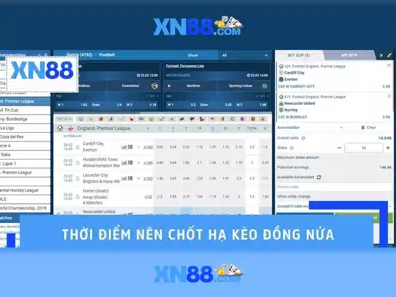 An toàn và bảo mật<h2><b>Trải nghiệm người dùng và đặt cược</b></h2><p><span style=