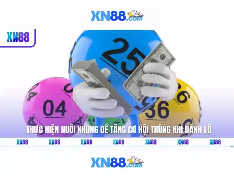 xn88-official – Trải nghiệm và tiềm năng thị trường