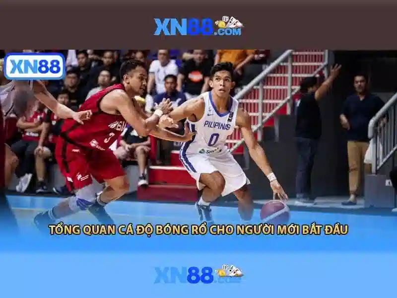 xn88-lin***.com – Định vị thương hiệu và trải nghiệm người dùng