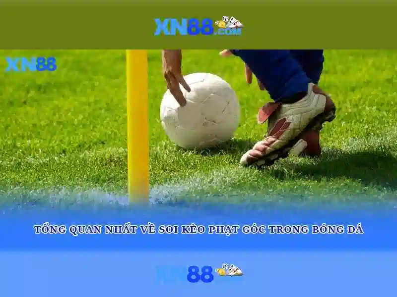 Định hướng tương lai và cơ hội hợp tác