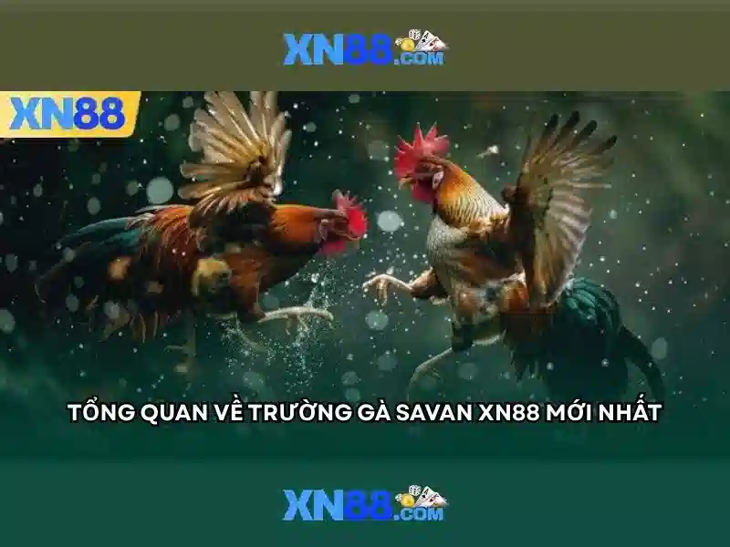 xn88 - Nền tảng cá cược và giải trí trực tuyến hàng đầu
