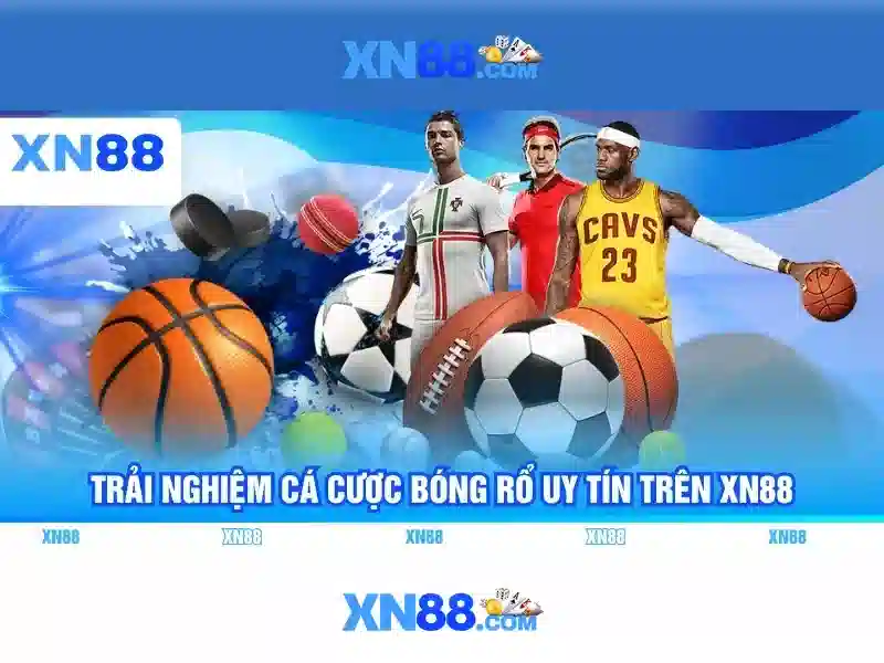 Lưu ý về an toàn và trách nhiệm