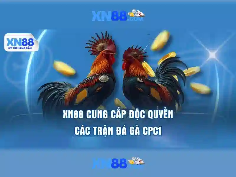 xn88: Đánh giá và trải nghiệm cá cược trực tuyến