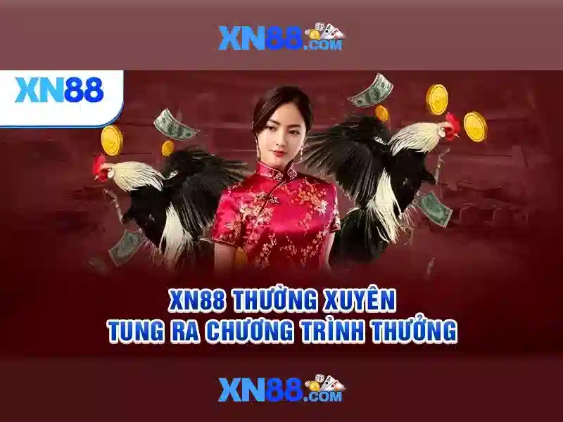 Trải nghiệm người dùng và phản hồi cộng đồng