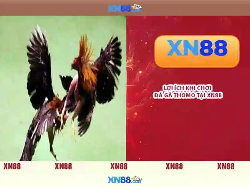 Khám phá xn88