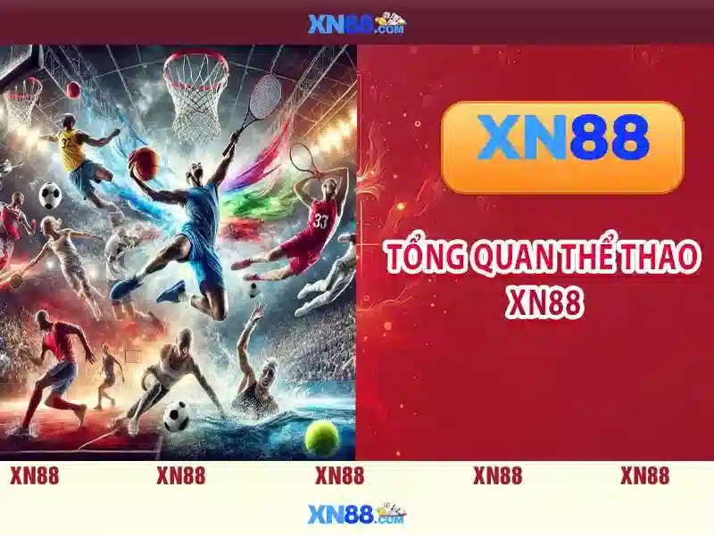 Giới thiệu về xn88