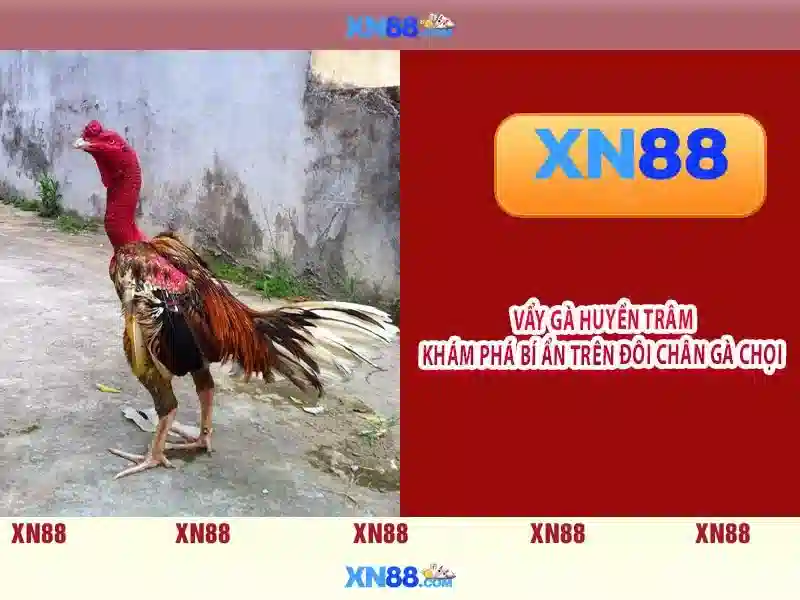 xn88: Tổng quan và tiềm năng