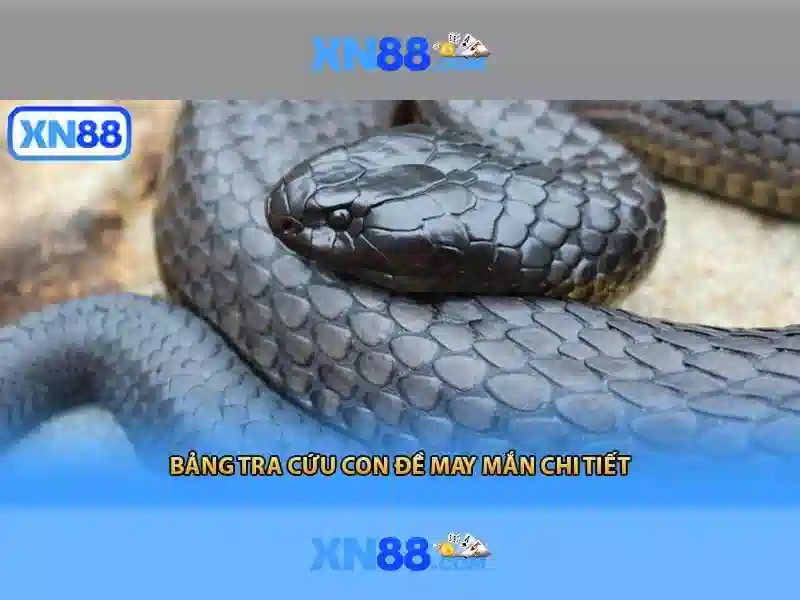 Sản phẩm và dịch vụ cốt lõi: ứng dụng xn88-lin***.com