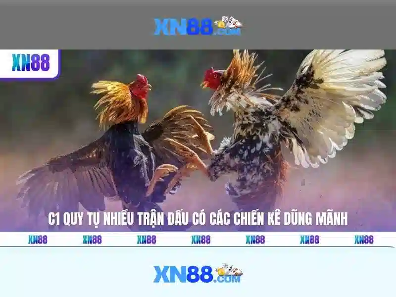 cách chơi xn88 - hướng dẫn chi tiết và lợi thế cạnh tranh
