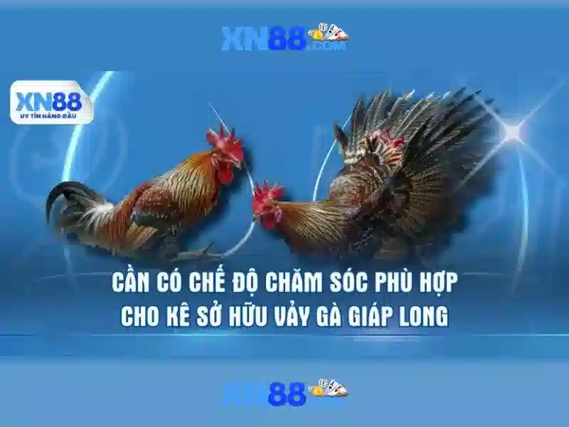 nổ hũ xn88: Hành trình thương hiệu và trải nghiệm đột phá
