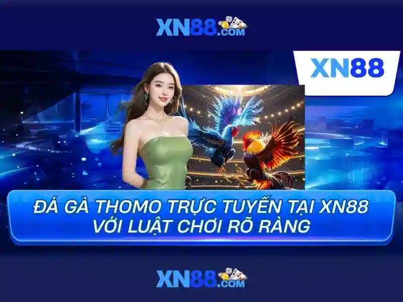 xn88 in.net – Tổng quan và trải nghiệm