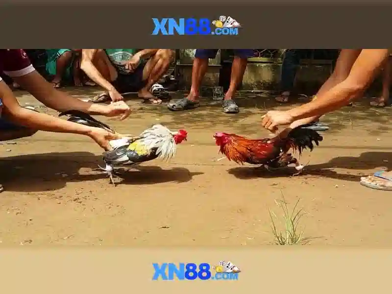 Độ tin cậy và an toàn