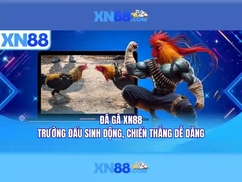 nhập code xn88 – trải nghiệm thương hiệu và ưu đãi xn88