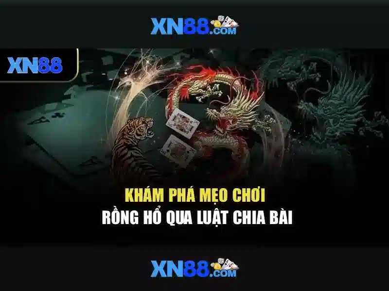 xn88: Tổng quan về nền tảng trực tuyến và trải nghiệm người dùng