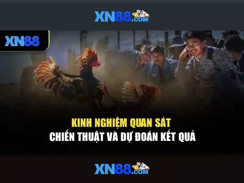 xn88: Giới thiệu và các điểm nổi bật