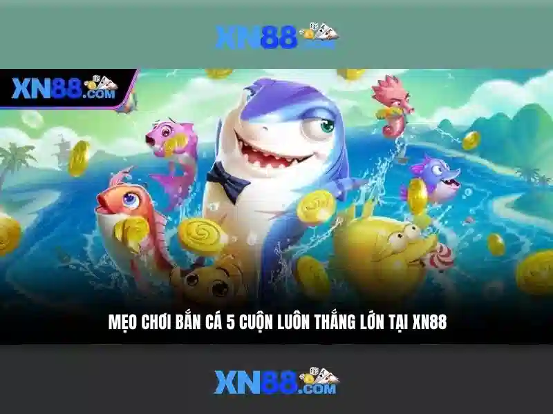xn88: Tổng quan về nền tảng cược trực tuyến
