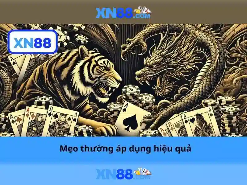 Khuyến mãi và chương trình thưởng