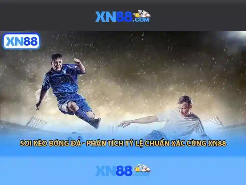 An toàn và thanh toán\n<h>Kết luận</h>\n<p><span style=