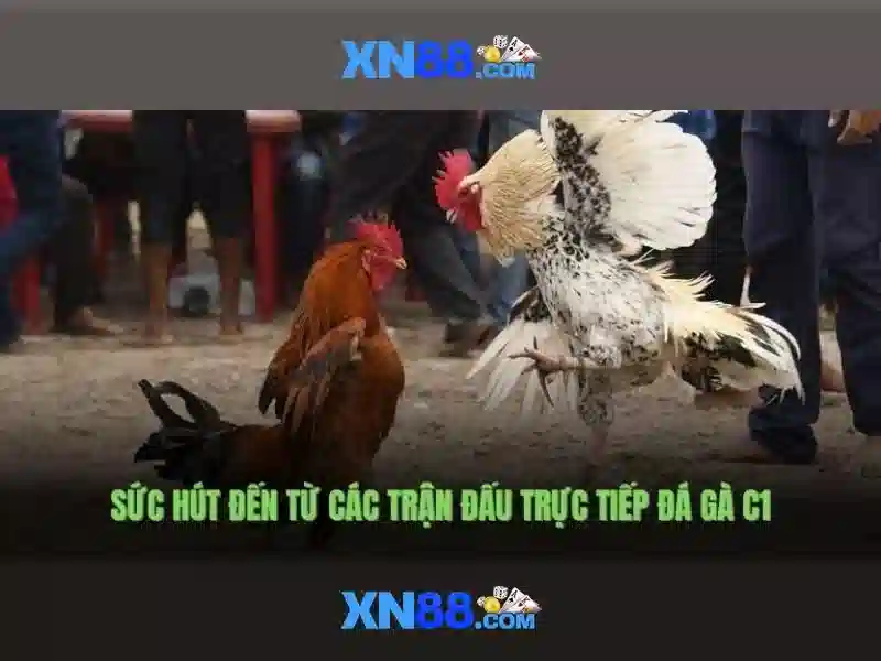 xn88: Đánh giá và thông tin tổng quan