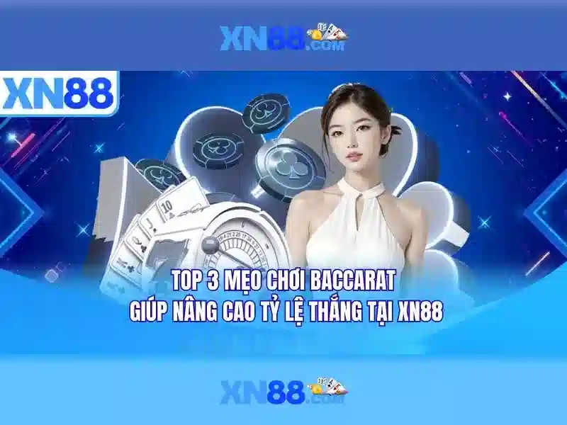 xn88: Tổng quan bằng tiếng Việt
