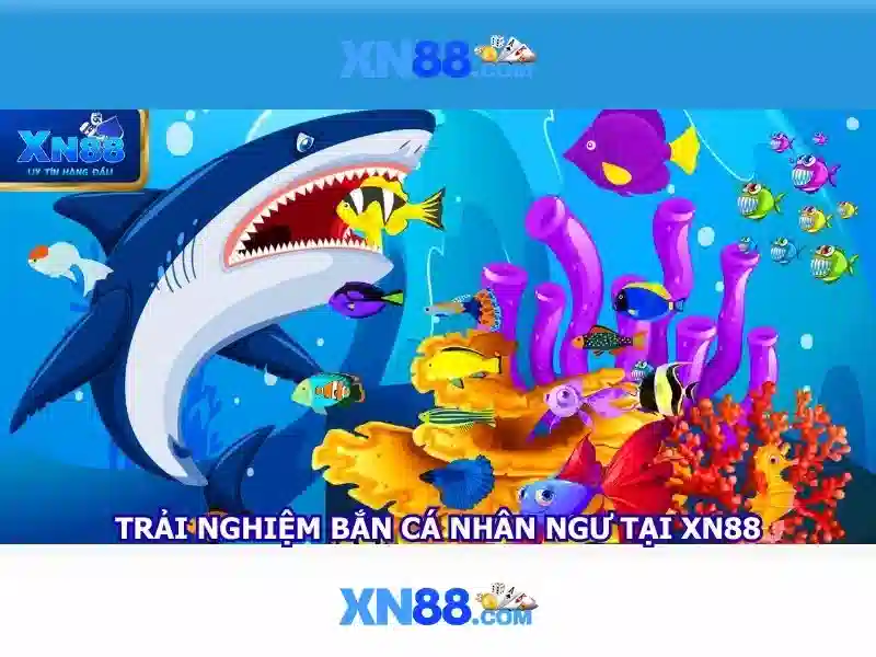 xn88 – Nền tảng cược trực tuyến đáng tin cậy