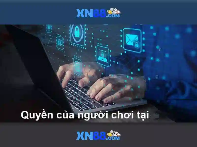 Tổng quan về xn88