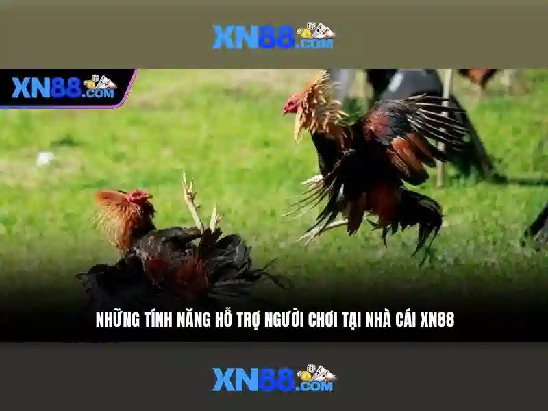 xn88: Tổng quan và đánh giá