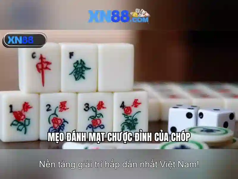 Giới thiệu về xn88 - Nền tảng giải trí và cá cược trực tuyến