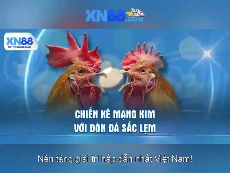 An toàn và triển khai\n<p><span style=