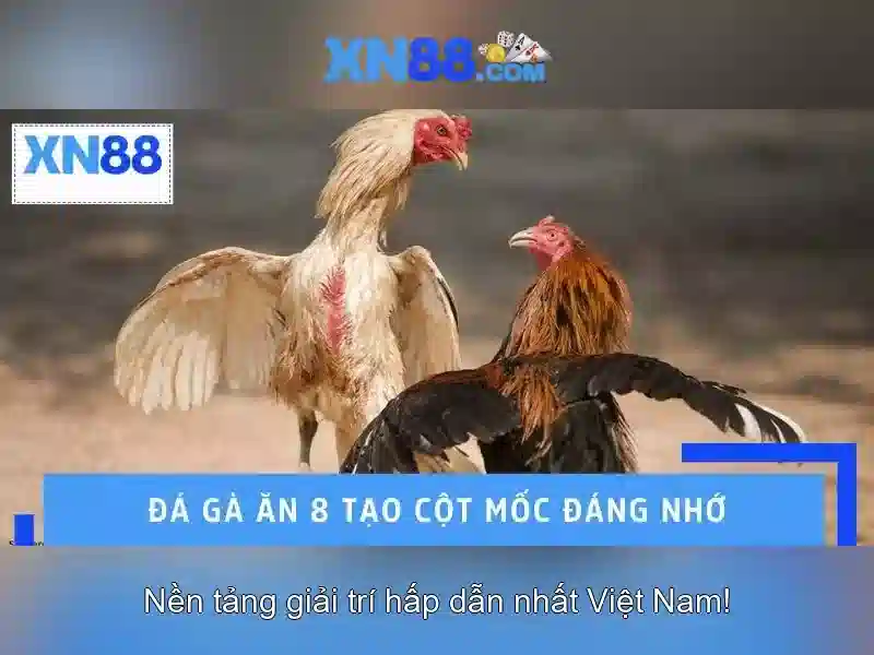 Độ an toàn và tuân thủ