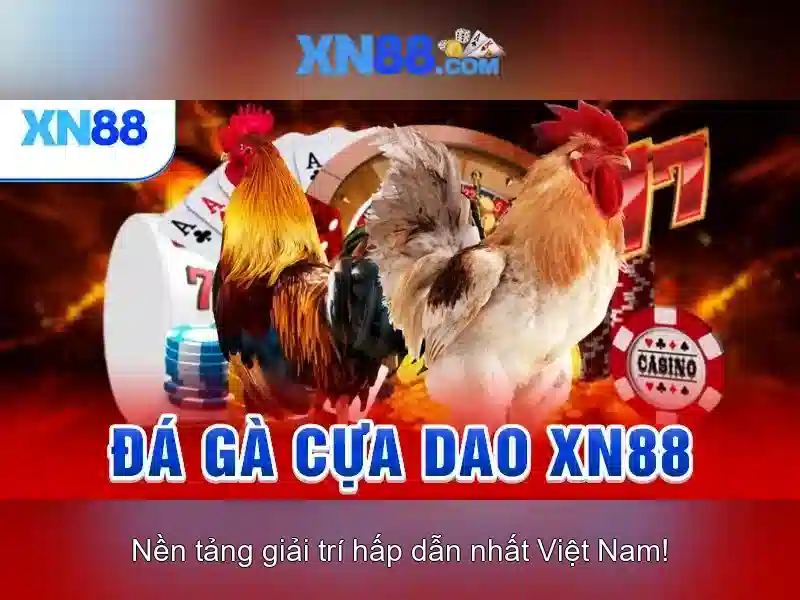 xn88 là gì?