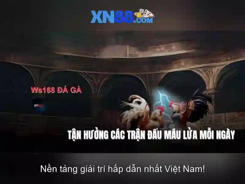 xn88: Nền tảng trò chơi trực tuyến và lời giới thiệu