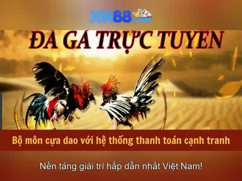 Trải nghiệm người dùng và phản hồi từ cộng đồng