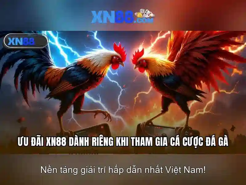 XN88: Tổng quan và tiềm năng