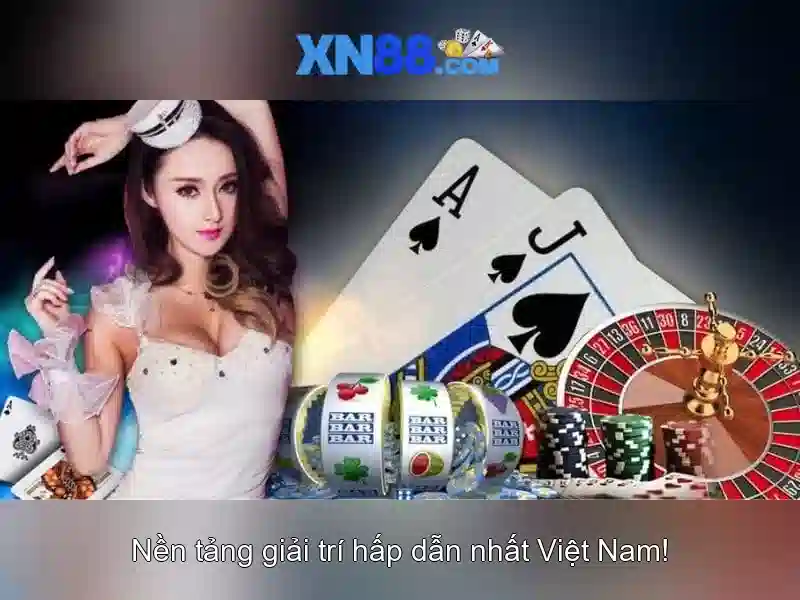 Lưu ý an toàn và trách nhiệm khi tham gia