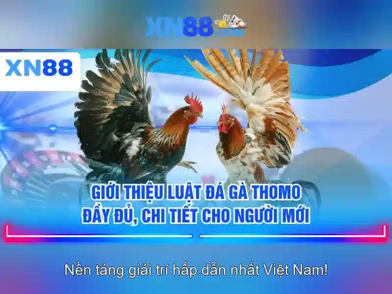 xn88: Nền tảng trò chơi trực tuyến đáng tin cậy