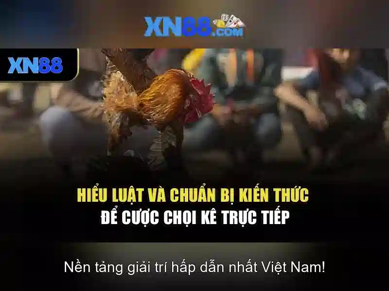 xn88: Nền tảng giải trí trực tuyến tại Việt Nam