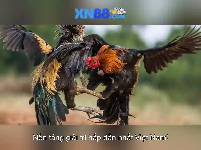 xn88: Nền tảng trò chơi trực tuyến cho người chơi Việt