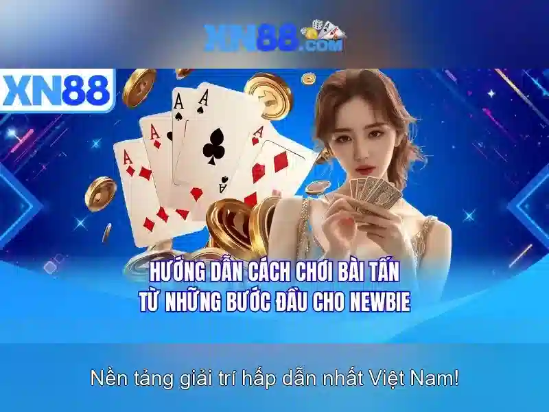 Các dịch vụ cung cấp